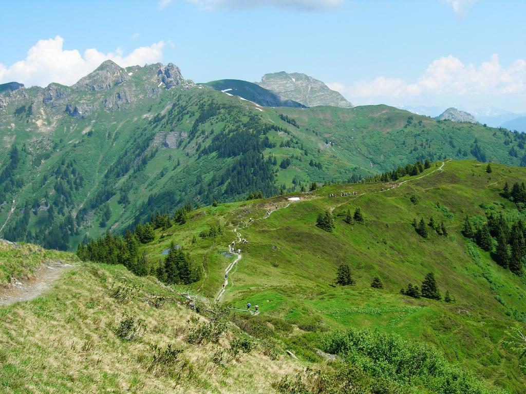 Landhotel Steindlwirt Dorfgastein Zewnętrze zdjęcie